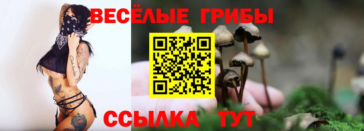 Псилоцибиновые грибы GOLDEN TEACHER  что такое   Галлюциногенные грибы Cubensis  Кизилюрт  Вход с VPN 