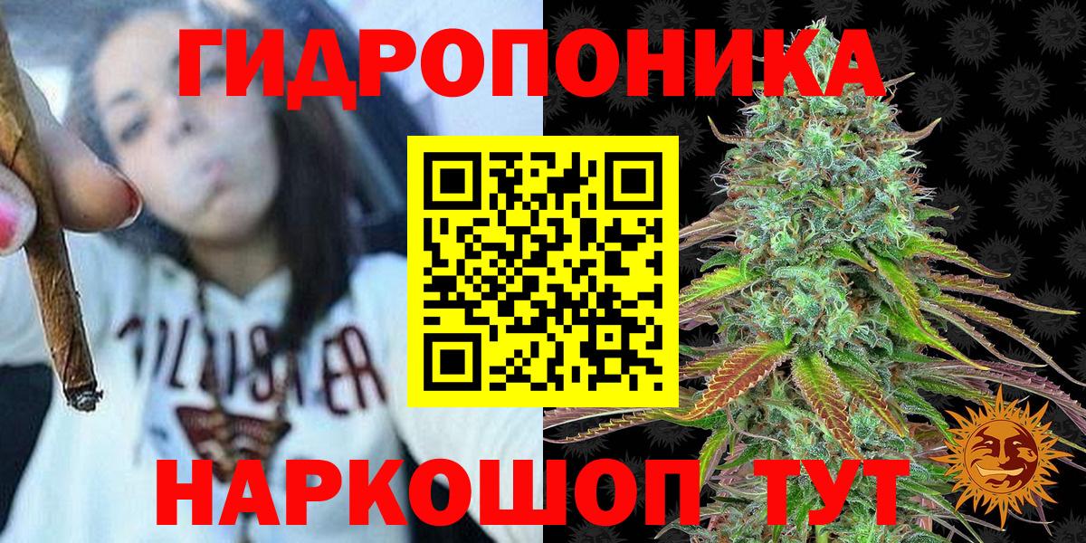 Кизилюрт  Бошки Шишки Ganja  Вход с VPN  Бошки Шишки White Widow  Бошки Шишки тримм 